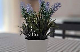 La tappa del vignaiolo Home - Foto 8