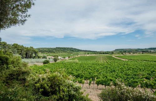 2 Ferienhäuser auf dem Weingut Domaine La Grange - Foto 16