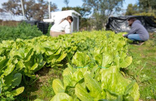 La Platea Rural - Foto 24