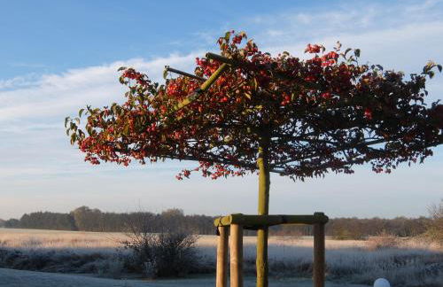 Seepferdchen - Foto 13