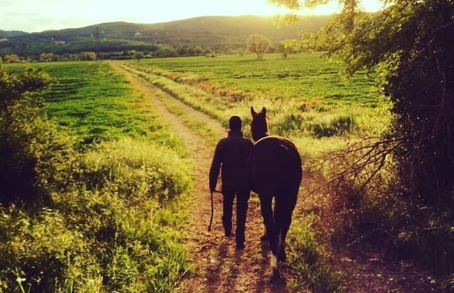 Agriturismo Podere Ficareto - Foto 44