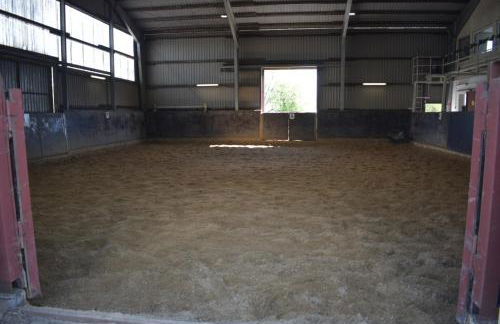 Idylle auf dem Reiterhof bei Husum - Foto 26