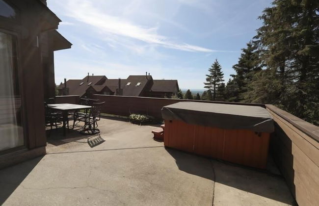 Seven Springs Sunridge 3 Bedrooms Premium Condo, Private Hot Tub! by RedAwning - Foto 20