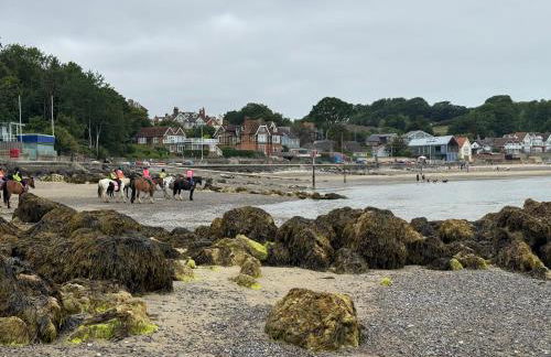 Suzetta Cottage - Photo 49