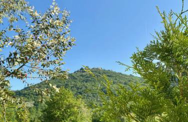 Lucky Home - Apartment Art Grožnjan - Foto 24