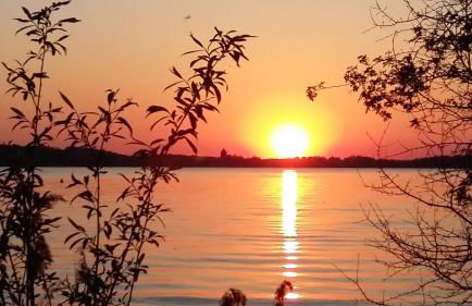 Wald- und Seeblick Camp Zislow - Foto 8