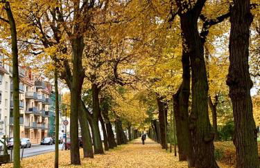 Viadrina Rooms & Apartments Frankfurt-Oder am Park im Zentrum - Foto 12