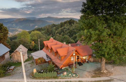 Zielona Granica - Foto 28