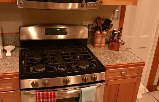 Craftsman Cabin, Granite, Stainless Steel, Holiday Home 3 - Foto 14