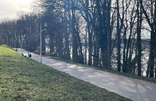 Luksusowy loft nad jeziorem Swarzędz - Poznań TV wi-fi pralko-suszarka piekarnik - Foto 13