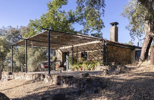 Pozuelo 1 JABUGO - Foto 1