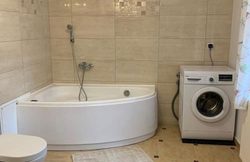 Hospoda-Ferienhaus am Olba-See - Foto 9