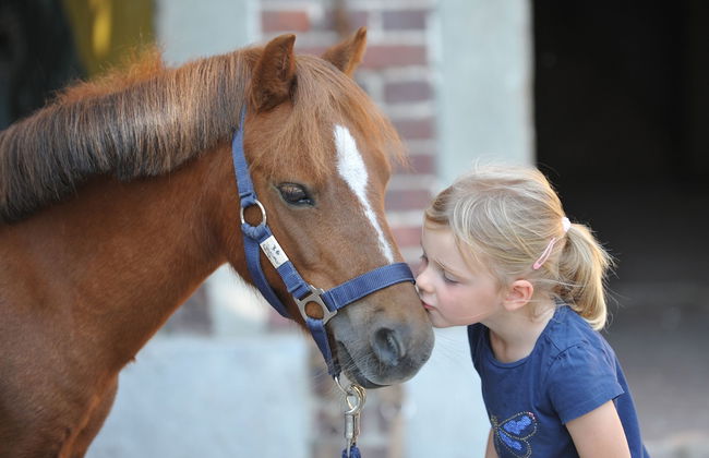 Ponyhof Georgenbruch - Photo 51