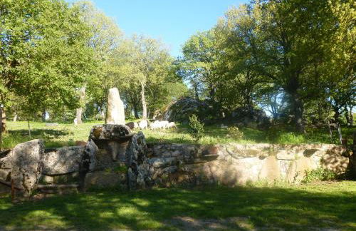 Fattoria Sos Astores - Foto 19