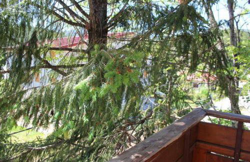 Comodo appartamento in Sila Moccone-Camigliatello - Foto 43