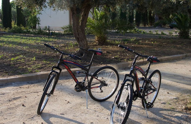 Agrisicilia - Foto 15