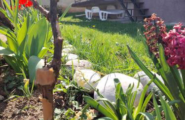 Apartma Laganini - Foto 29