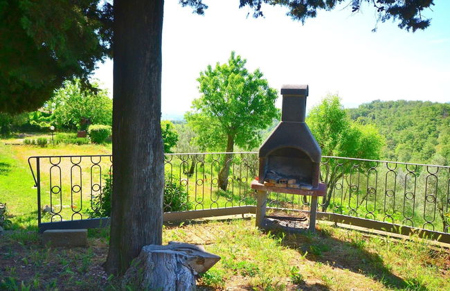 Lovely Estate not far From Florence With Olives Trees - Foto 49
