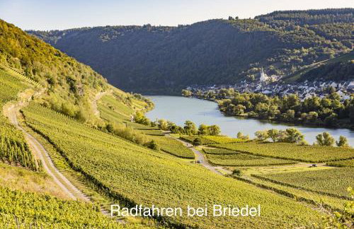 Wohnen am Weingut - Bei den Weinbergen - Foto 19