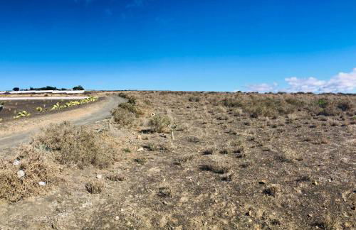 Apartment Alegria in the Stunning Village of Mozaga, Lanzarote - Foto 66