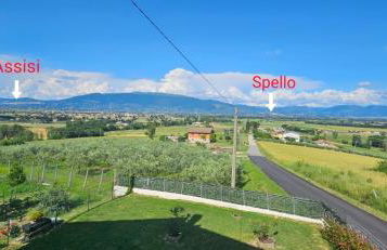 Delizioso appartamento collinare - Photo 6