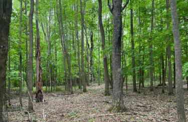 Maison Flambeau - Foto 57