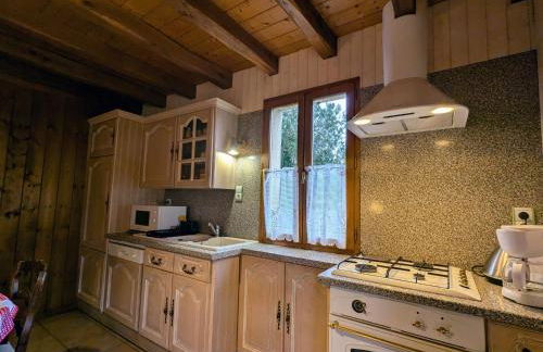 Maison idéale au bord du lac avec jardin clos et parking privé, animaux admis - FR-1-591-711 - Foto 9