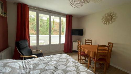 Studio meublé 26m² refait à neuf - Foto 4