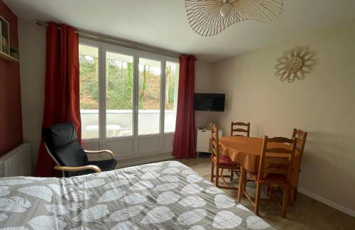 Studio meublé 26m² refait à neuf - Foto 4