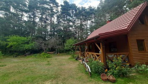 Pasieka Dobro i Smak - Foto 3, Garden view