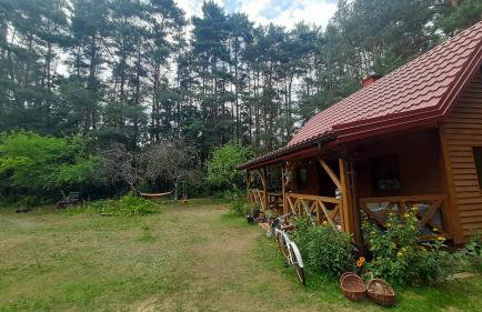 Pasieka Dobro i Smak - Foto 3