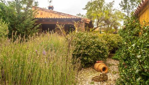 Casa Rural Islas Galápagos - Foto 5, Garden, Garden view