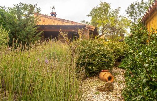 Casa Rural Islas Galápagos - Foto 5