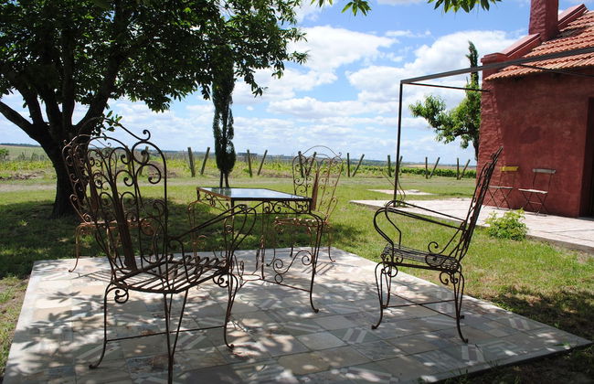 Finca Las Cavas - Photo 9