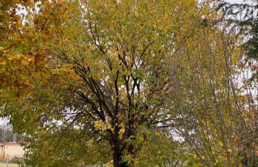 La Casa De Marta - Foto 10