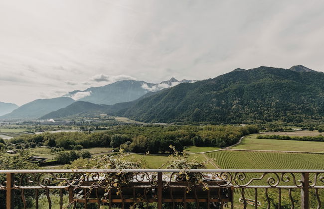 Coronata Haus - Photo 48