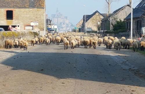 L'Hirondelle - Foto 18