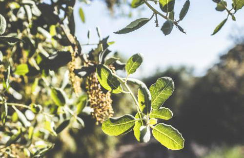 Charming house in Estepa with shared pool. - Photo 25