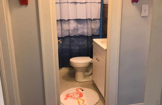 Funky Flamingo - Foto 20