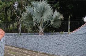 5 Quartos - Chácara Aconchego na Natureza - Foto 5