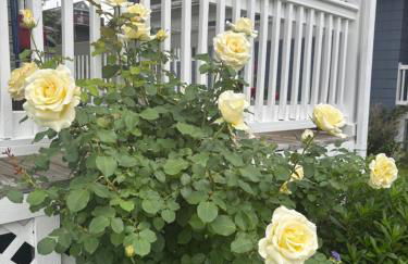 Boston Studio Apartment with Parking, next to Train or Buses, good Neighborhood - Foto 23