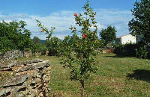 House Meli - Photo 30