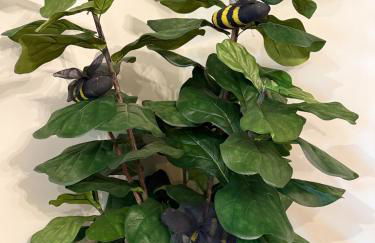 The Ancient Bears Den By Avada Properties - Foto 17