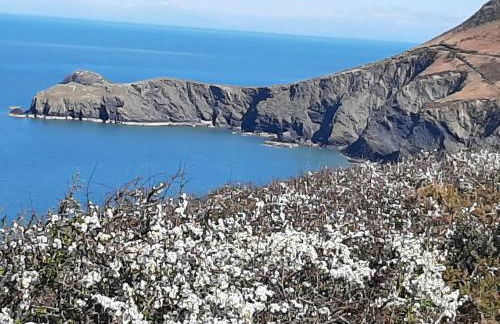 Red Kite Cottage - Photo 18