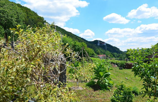 Homely Apartment with BBQ in Riedenburg Prunn near Forest - Foto 23