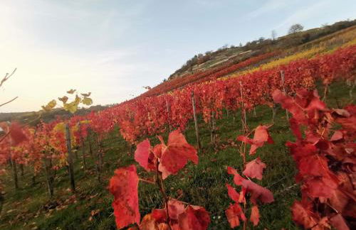 Ferienwohnung im Turm Bellevue mit 3 Schlafzimmern - Foto 24