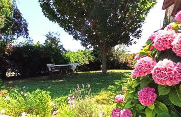 Beach House Into the Green! - Foto 22