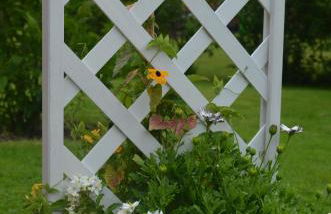 FeWo Deichblick Wischhafen - Photo 25