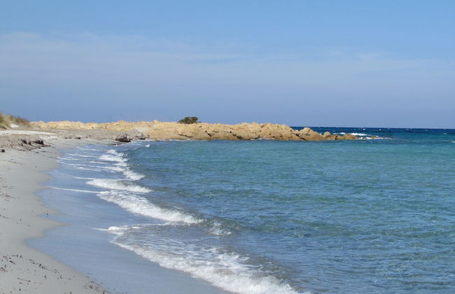 Cavalli di S'Arcaite - Foto 37