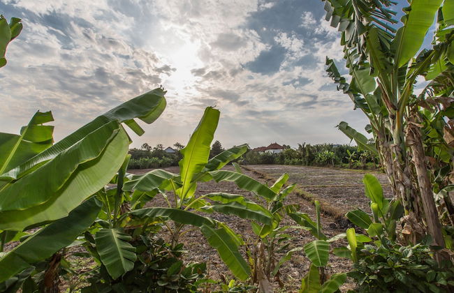 Gajah Villas Bali by Nagisa Bali - Foto 78